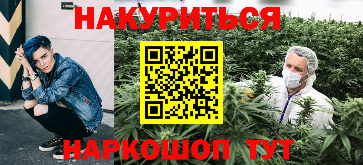 Бошки Шишки сатива  Вход с VPN  Гатчина  Канабис сатива 
